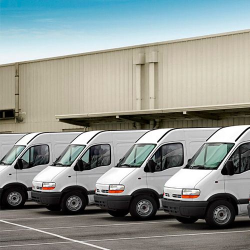 flota vehiculo liviano